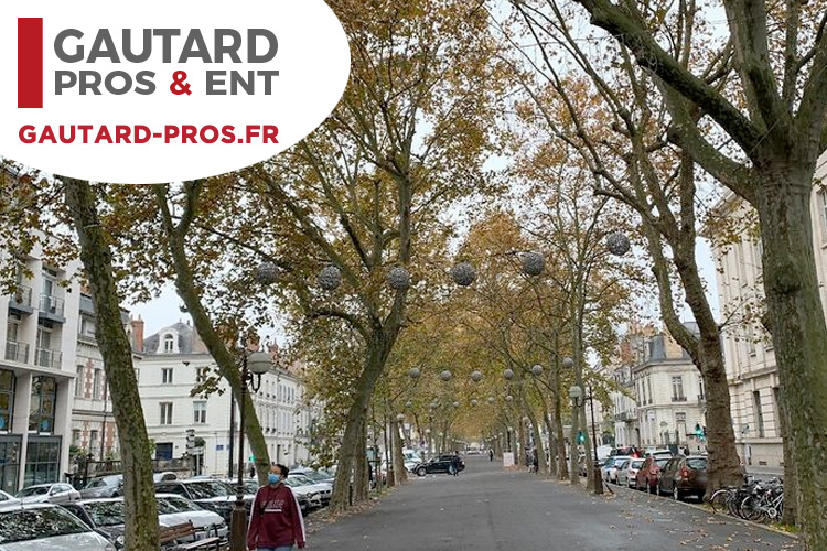 Photo bueaux à louer Boulevard Béranger sur Tours Centre | GAUTARD PROCOMM immobilier entreprise et commerce